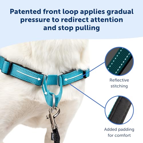 PetSafe Easy Walk Deluxe Dog Harness, No Pull Dog Harness â Perfect for Leash & Harness Training â Stops Pets from Pulling and Choking on Walks â Ocean Blue by Toys & Behavior