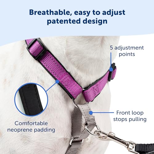 PetSafe 3 in 1 Harness - Fully Adjustable No-Pull Dog Harness - from The Makers of The Easy Walk Harness - Medium, Teal from Toys & Behavior