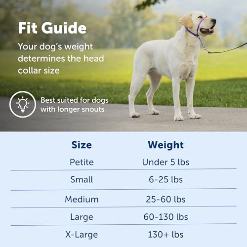 PetSafe Gentle Leader Headcollar, No-Pull Dog Collar â Perfect for Leash & Harness Training â Stops Pets from Pulling and Choking on Walks â Large, Silver by Toys & Behavior