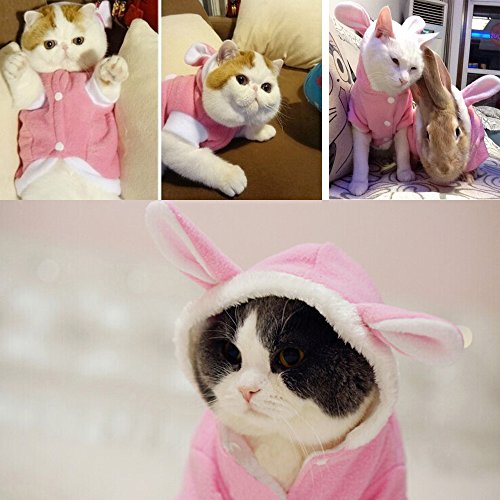 Bro'Bear Plush Rabbit Outfit with Hood & Bunny Ears for Small Dogs & Cats Pink (Medium) by Bolbove