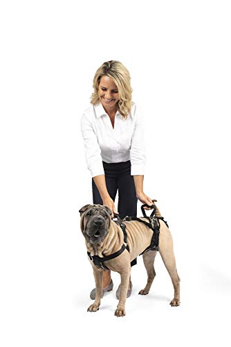 Dog Lifting Aid - Mobility Harness - Large Size by Radio Systems Corporation