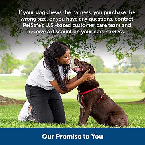 PetSafe Sure-Fit Harness, Adjustable Dog Harness from the Makers of the Easy Walk Harness, BLACK, MEDIUM by Toys & Behavior
