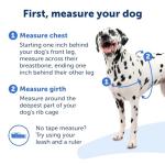 PetSafe Deluxe Easy Walk Harness for Dogs