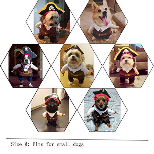 NACOCO Pet Dog Costume Pirates of The Caribbean Style (Medium) by NACOCO