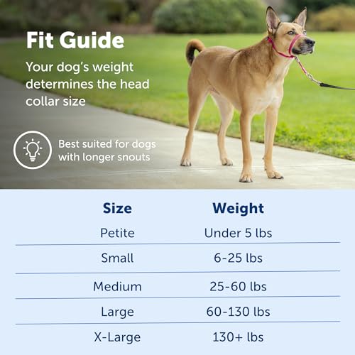 PetSafe Gentle Leader Headcollar, No-Pull Dog Collar, Perfect for Leash & Harness Training, Stops Pets from Pulling and Choking on Walks, Medium, Black from Toys & Behavior