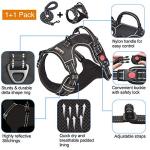 No Pull Dog Harness with Heavy Duty Leash