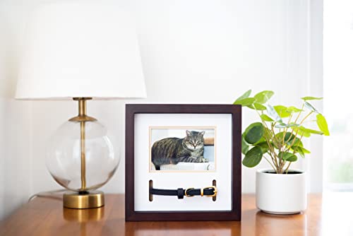 Pearhead Pet Collar Keepsake Picture Frame, Pet Owner Holiday Christmas Gift, Espresso from Pearhead Inc.