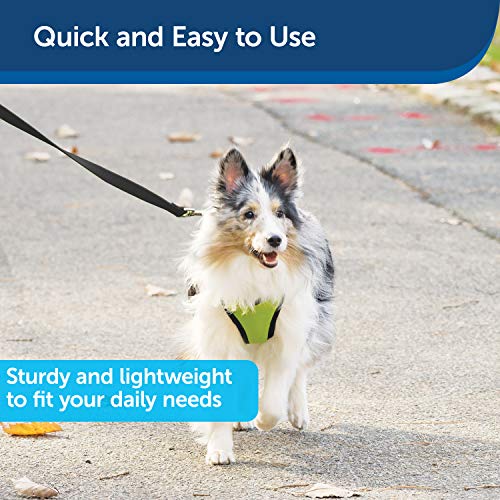 PetSafe Nylon Dog Leash - Strong, Durable, Traditional Style Leash with Easy to Use Bolt Snap - 1" x 6', Black by Toys & Behavior