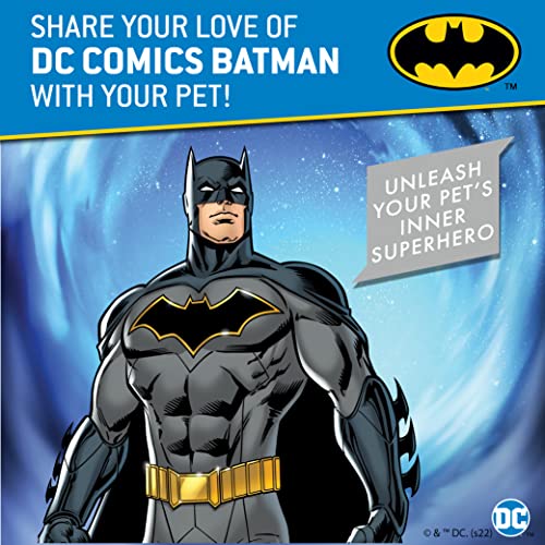 DC Comics for Pets Batman Harness for Dogs in Size Small | Gray Superhero Dog Harness Dog Costume | Harness for Small Dog Breeds, Fun and Cute Dog Halloween Costume from Fetch for Pets
