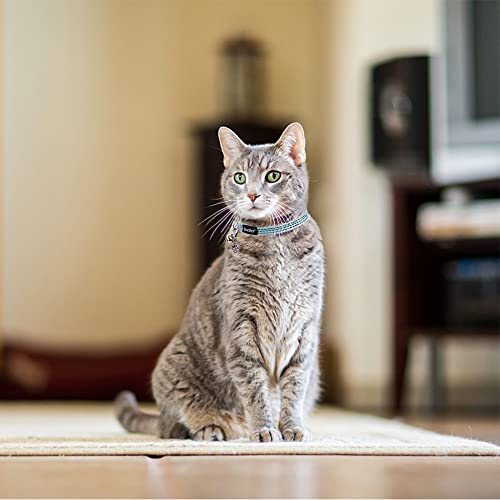 BINGPET Safety Nylon Reflective Cat Collar Breakaway Adjustable Cats Collars with Bell and Bling Paw Charm, Light Blue from Bingpet