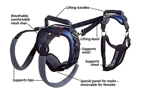 Dog Lifting Aid - Mobility Harness - Large Size by Radio Systems Corporation