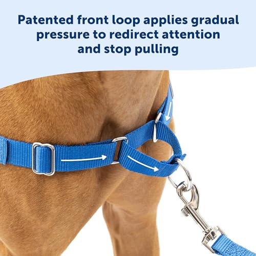 Easy Walk Harness, Medium/Large, Black (EWH HC M/L BLK) from Toys & Behavior