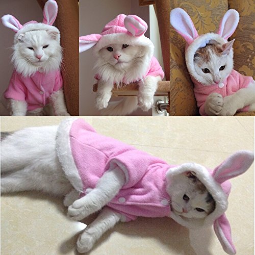 Bro'Bear Plush Rabbit Outfit with Hood & Bunny Ears for Small Dogs & Cats Pink (Medium) by Bolbove