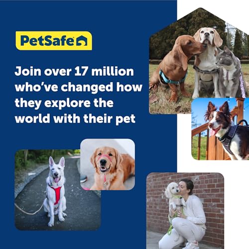 PetSafe Gentle Leader Headcollar, No-Pull Dog Collar, Perfect for Leash & Harness Training, Stops Pets from Pulling and Choking on Walks, Medium, Black from Toys & Behavior