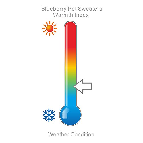 Blueberry Pet 2 Patterns Chic Argyle All Over Dog Sweater in Midnight Blue and Dark Princeton Orange, Back Length 12", Pack of 1 Clothes for Dogs from Blueberry Pet