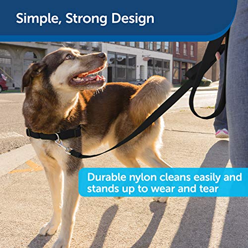 PetSafe Nylon Dog Leash - Strong, Durable, Traditional Style Leash with Easy to Use Bolt Snap - 1" x 6', Black by Toys & Behavior