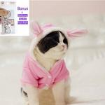 Pink Plush Bunny Outfit for Small Dogs & Cats