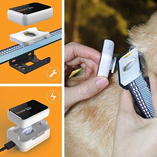 Pawfit 2 GPS Dog Tracker for Pet Dog Collar, Three Positioning, IP68 Waterproof, Removal Alert, Safety Zone Alert, Included Embedded SIM Card, Mini GPS Tracker for Dogs and Large Cats by Pawfit