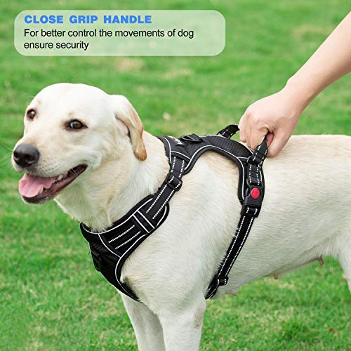 tobeDRI No Pull Dog Harness Adjustable Reflective Oxford Easy Control Medium Large Dog Harness with A Free Heavy Duty 5ft Dog Leash (L (Neck: 18"-25.5", Chest: 24.5"-33"), Black Harness+Leash) by tobedri