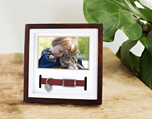 Pearhead Pet Collar Keepsake Picture Frame, Pet Owner Holiday Christmas Gift, Espresso from Pearhead Inc.