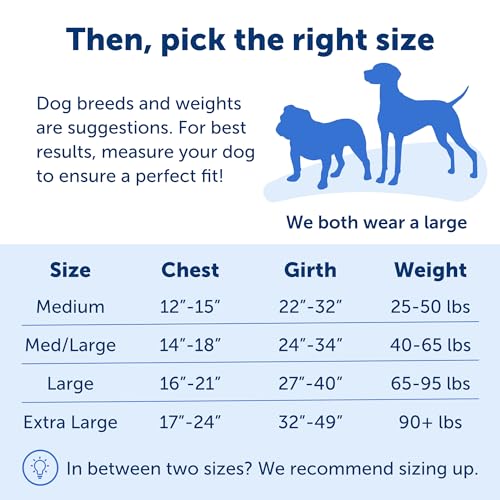 Easy Walk Harness, Medium/Large, Black (EWH HC M/L BLK) from Toys & Behavior