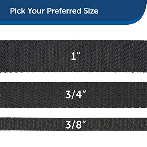 PetSafe Nylon Dog Leash - Strong, Durable, Traditional Style Leash with Easy to Use Bolt Snap - 1" x 6', Black by Toys & Behavior