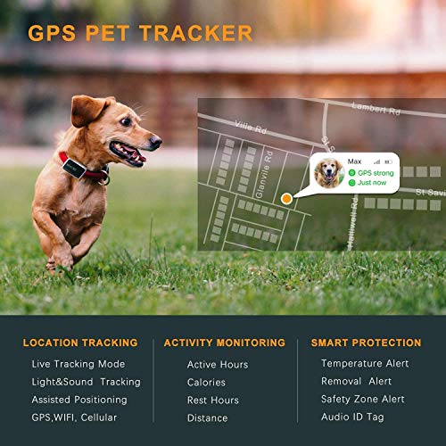 Pawfit 2 GPS Dog Tracker for Pet Dog Collar, Three Positioning, IP68 Waterproof, Removal Alert, Safety Zone Alert, Included Embedded SIM Card, Mini GPS Tracker for Dogs and Large Cats by Pawfit