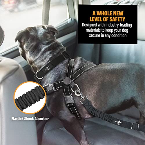 Active Pets Dog Seatbelt, Adjustable Safety Dog Seat Car Harness, Dog Seat Belt for Pets - Durable Dog Seatbelts for Cars - Dog Car Seat Belt for Dogs, Dog seat Belts for Large Dogs, Medium, & Small from Active Pets