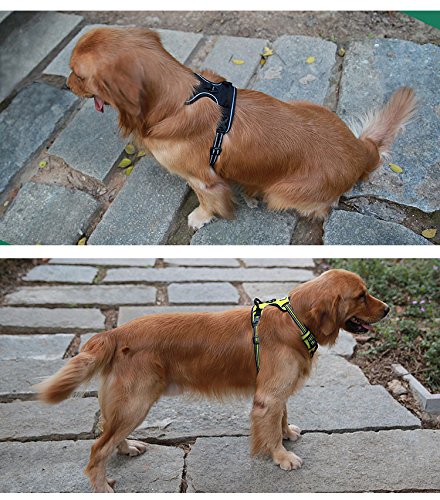 JUXZH Truelove Soft Front Dog Harness .Best Reflective No Pull Harness with Handle and 2 Leash Attachments from juxzh