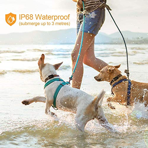 Pawfit 2 GPS Dog Tracker for Pet Dog Collar, Three Positioning, IP68 Waterproof, Removal Alert, Safety Zone Alert, Included Embedded SIM Card, Mini GPS Tracker for Dogs and Large Cats by Pawfit