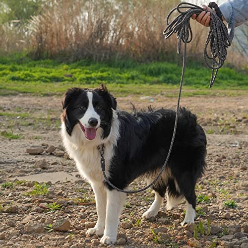 NTR Long Dog Leash, 50FT Check Cord with Swivel Lockable Hook and Comfortable Padded Handle for Dog Leash for Small Medium and Large Dogs Walking Training Hiking Camping Playing by Jiangsu NTR Ropes&Belts Co., Ltd