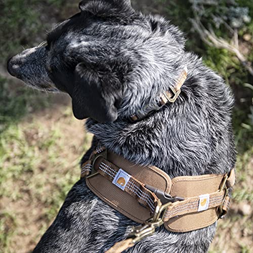 Carhartt Training Harness | Carhartt Brown | 22"- 29" Chest | Medium from Signature Products Group (SPG)