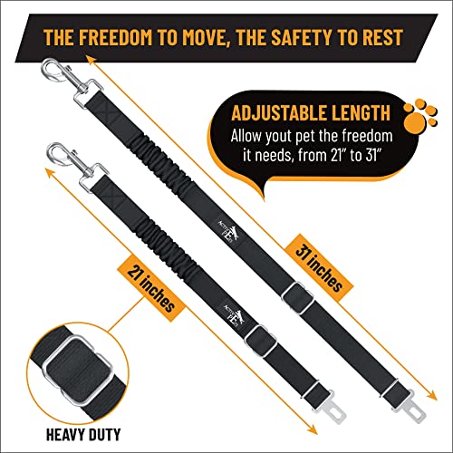Active Pets Dog Seatbelt, Adjustable Safety Dog Seat Car Harness, Dog Seat Belt for Pets - Durable Dog Seatbelts for Cars - Dog Car Seat Belt for Dogs, Dog seat Belts for Large Dogs, Medium, & Small from Active Pets