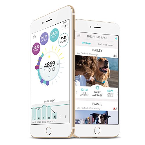 FitBark 2 Dog Activity Monitor | Health & Fitness Tracker for Dogs | Waterproof, Small & Leightweight (10 g) | Not a GPS Tracker by FitBark, INC