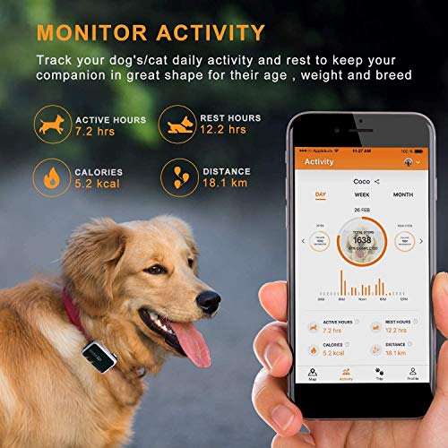 Pawfit 2 GPS Dog Tracker for Pet Dog Collar, Three Positioning, IP68 Waterproof, Removal Alert, Safety Zone Alert, Included Embedded SIM Card, Mini GPS Tracker for Dogs and Large Cats by Pawfit