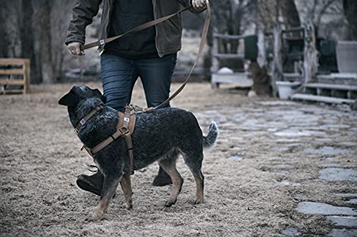 Carhartt Training Harness | Carhartt Brown | 22"- 29" Chest | Medium from Signature Products Group (SPG)