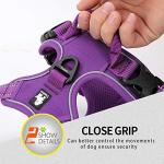 JUXZH Large Purple No Pull Dog Harness