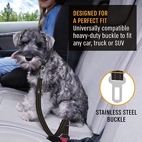 Active Pets Universal Dog Seatbelt, Dog Seatbelt Tether, Adjustable Dog Car Seat Belt, Pet Seat Belts for car. Dog Seat Belts for Small Dogs, Dog Seat Belts for Large Dogs, Dog Seat Belt for Dogs from Active Pets
