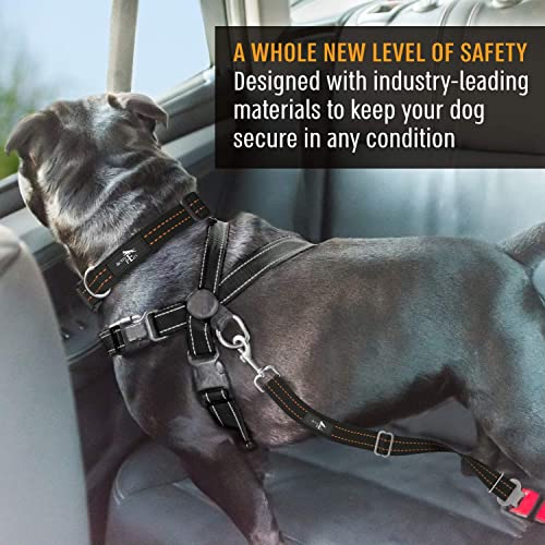 Active Pets Universal Dog Seatbelt, Dog Seatbelt Tether, Adjustable Dog Car Seat Belt, Pet Seat Belts for car. Dog Seat Belts for Small Dogs, Dog Seat Belts for Large Dogs, Dog Seat Belt for Dogs from Active Pets