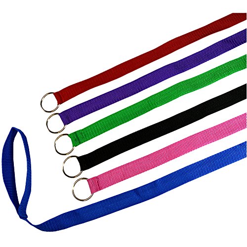 Downtown Pet Supply 6 Foot Slip Lead, Slip Leads, Kennel Leads Bulk Dog Leashes with O Ring for Dog Pet Animal Control Grooming, Shelter, Rescues, Vet, Veterinarian, (24 Pack, Colors: Various) from Downtown Pet Supply