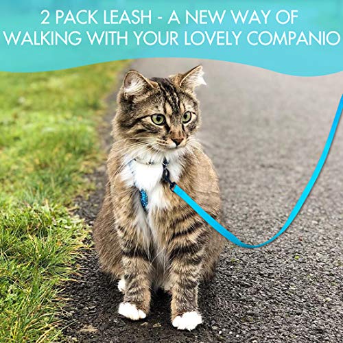 DOYOO 2 Pack Puppy Dog Leash Cat Leash, Strong and Durable Leash with Easy to Use Collar Hook - Dog Leashes for Cat with Collapsible Pet Bowl Great for Small and Medium Dog (Set 1-Black+Blue) by DOYOO