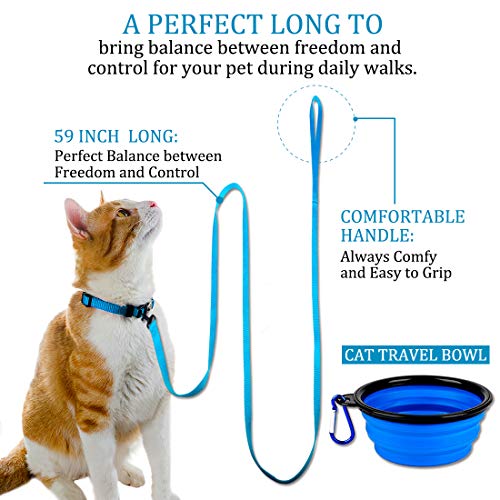 DOYOO 2 Pack Puppy Dog Leash Cat Leash, Strong and Durable Leash with Easy to Use Collar Hook - Dog Leashes for Cat with Collapsible Pet Bowl Great for Small and Medium Dog (Set 1-Black+Blue) by DOYOO