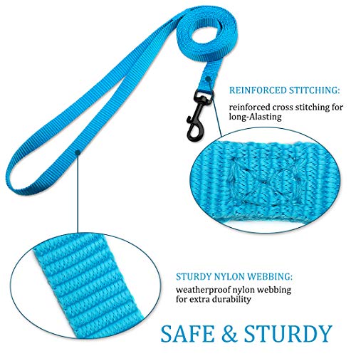 DOYOO 2 Pack Puppy Dog Leash Cat Leash, Strong and Durable Leash with Easy to Use Collar Hook - Dog Leashes for Cat with Collapsible Pet Bowl Great for Small and Medium Dog (Set 1-Black+Blue) by DOYOO