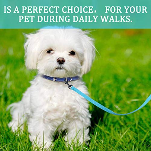 DOYOO 2 Pack Puppy Dog Leash Cat Leash, Strong and Durable Leash with Easy to Use Collar Hook - Dog Leashes for Cat with Collapsible Pet Bowl Great for Small and Medium Dog (Set 1-Black+Blue) by DOYOO