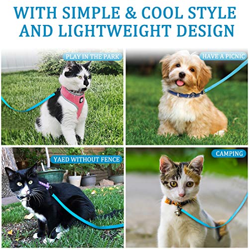 DOYOO 2 Pack Puppy Dog Leash Cat Leash, Strong and Durable Leash with Easy to Use Collar Hook - Dog Leashes for Cat with Collapsible Pet Bowl Great for Small and Medium Dog (Set 1-Black+Blue) by DOYOO