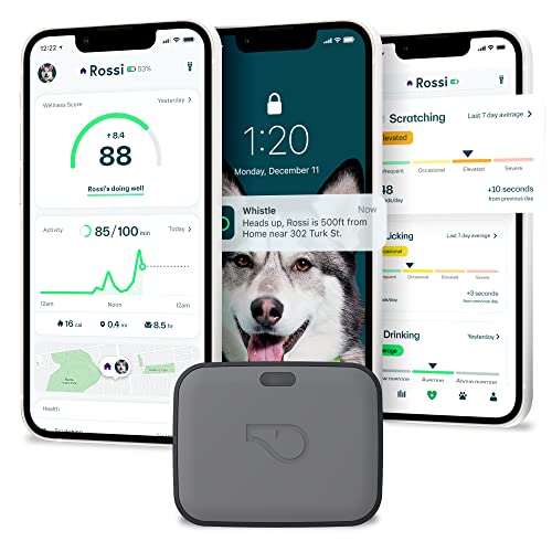 Whistle GO Explore - Ultimate Health & Location Tracker for Pets - Waterproof GPS Pet Tracker, Built-in Night Light, 20 Day Battery, Pet Fitness Tracker fits on Collar or Harness - Grey from Whistle Labs