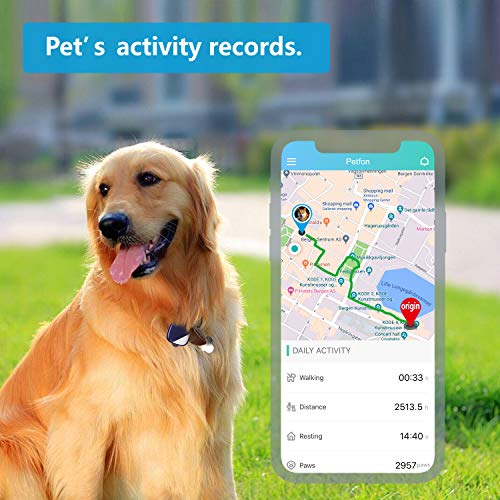 PETFON2 Pet GPS Tracker, No Monthly Fee, Real-Time Tracking Collar Device, APP Control For Dogs And Pets Activity Monitor(Only For Dog) by Ubisighttech