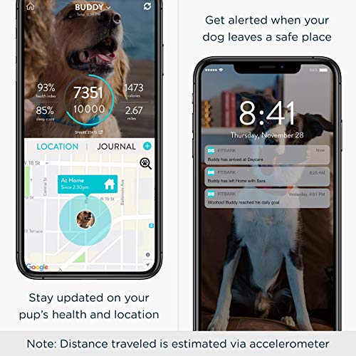 FitBark GPS Dog Tracker | Health & Location Pet Tracking Smart Collar Device | Small (17 g) & Waterproof | 4G LTE-M Real-Time US Verizon Coverage Nationwide | iPhone & Android Apps by FitBark