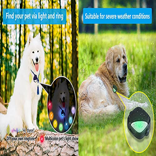 PETFON2 Pet GPS Tracker, No Monthly Fee, Real-Time Tracking Collar Device, APP Control For Dogs And Pets Activity Monitor(Only For Dog) by Ubisighttech