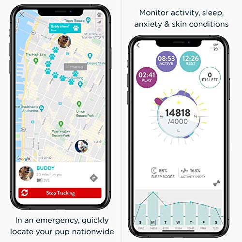 FitBark GPS Dog Tracker | Health & Location Pet Tracking Smart Collar Device | Small (17 g) & Waterproof | 4G LTE-M Real-Time US Verizon Coverage Nationwide | iPhone & Android Apps by FitBark